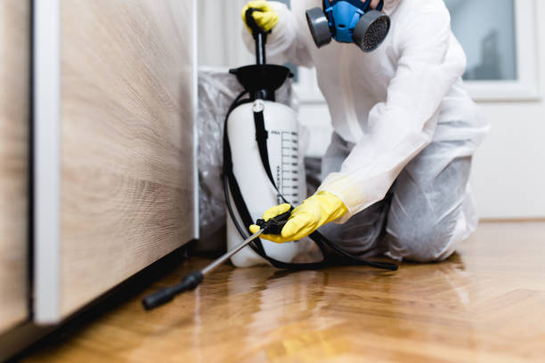 Best Pest Control for Restaurants  in Lutherville, MD