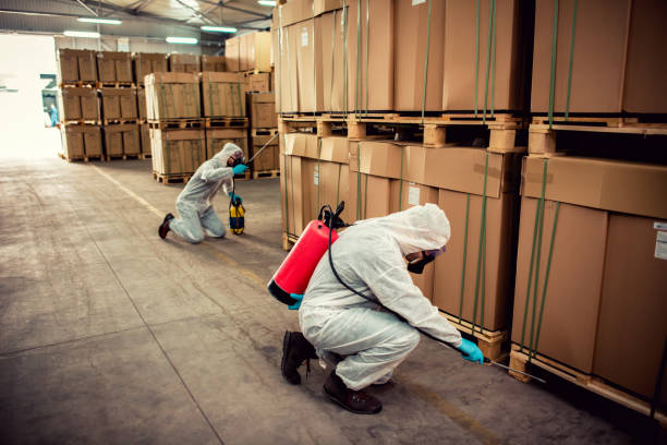 Best Local Pest Control Services  in Lutherville, MD