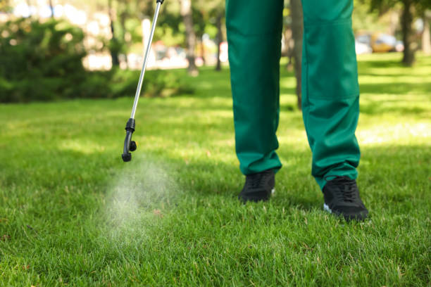 Best Ant Control Services  in Lutherville, MD