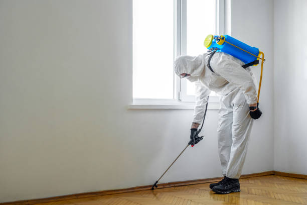 Best Affordable Pest Control Services  in Lutherville, MD
