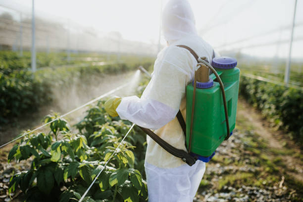 Best Pest Control Near Me  in Lutherville, MD